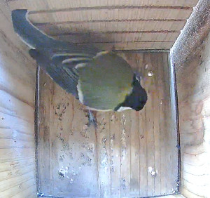Eerste bezoek vastgelegd met de camera