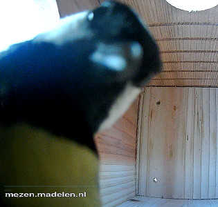 Inspectie van de camera