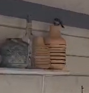Koolmeesnest in vaas