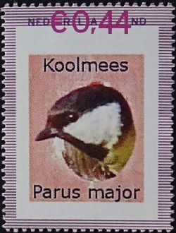 Vogel: Koolmees