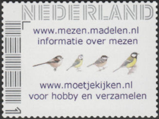 Vogel: Staartmees, Pimpelmees, Zwarte mees en Koolmees