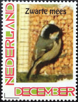 Vogel: Zwarte mees