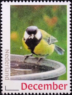 Vogel: Koolmees