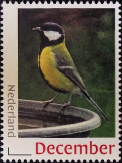 Vogel: Koolmees