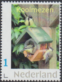 Vogel: Koolmees